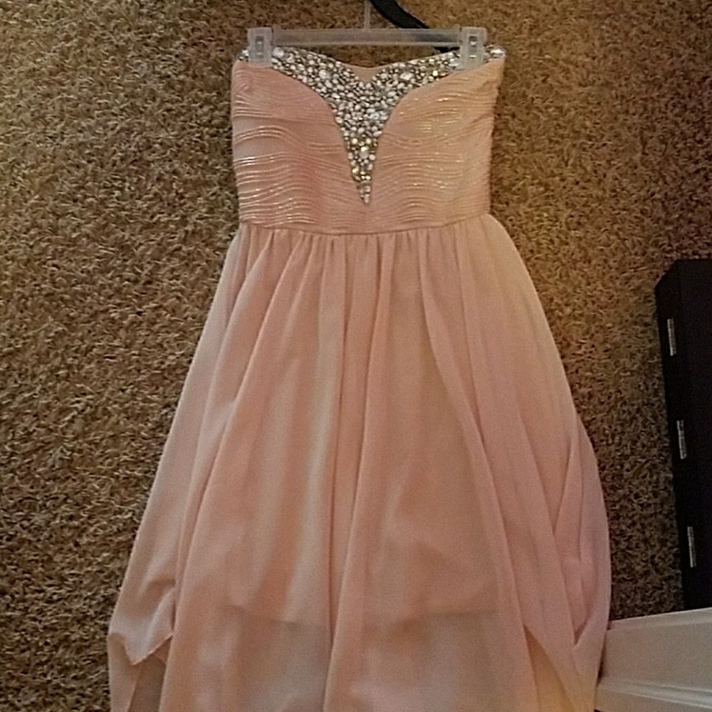 Size M Pastel Pink Windsor Gown